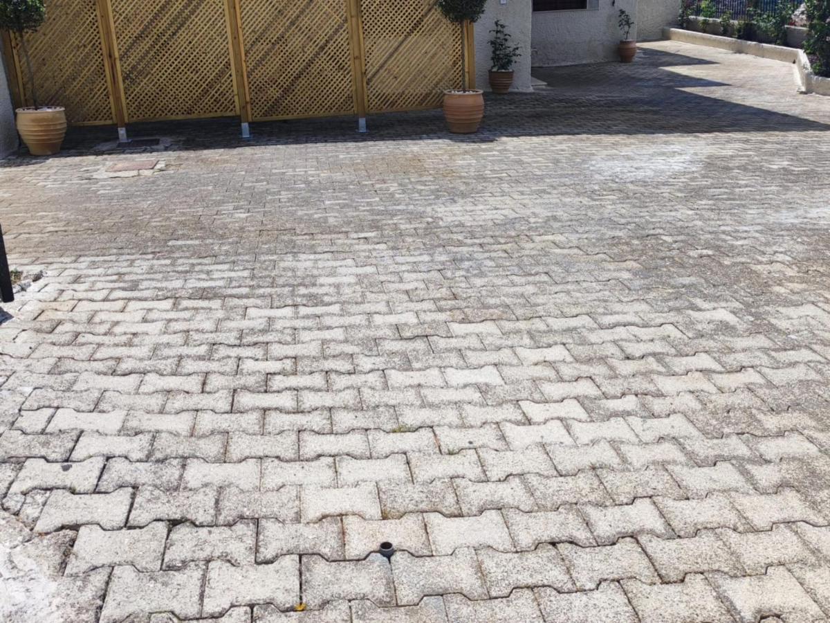 Fioravante أرغوستولي المظهر الخارجي الصورة